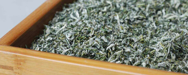 甘露茶叶属于什么茶