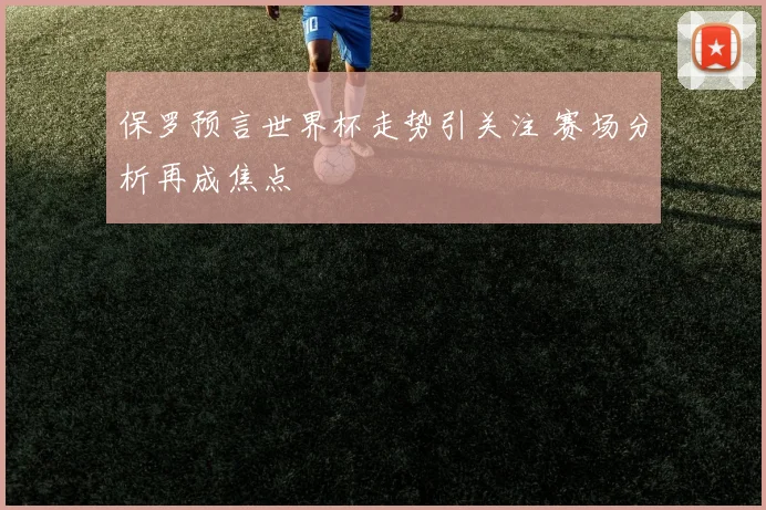 保罗预言世界杯走势引关注 赛场分析再成焦点