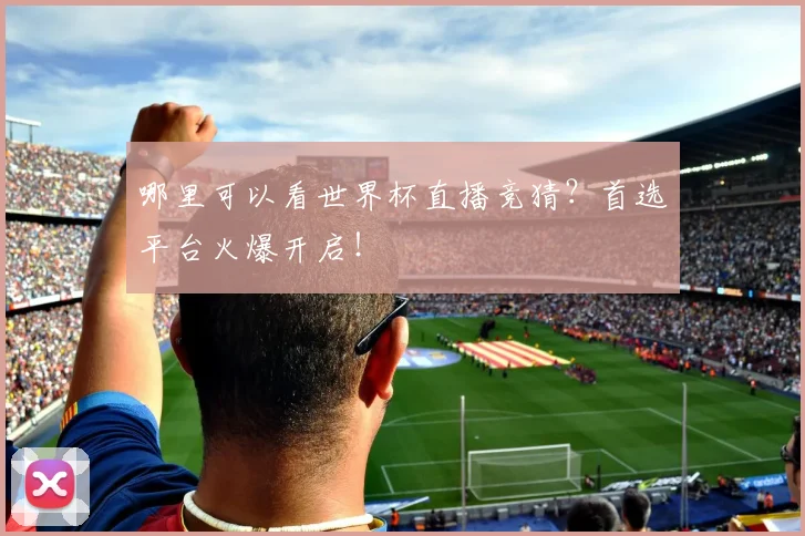 哪里可以看世界杯直播竞猜？首选平台火爆开启！