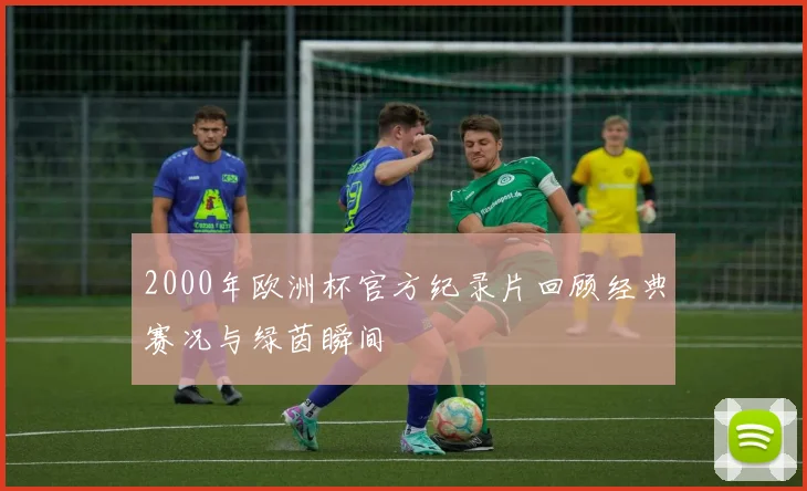 2000年欧洲杯官方纪录片回顾经典赛况与绿茵瞬间