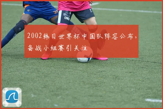 2002韩日世界杯中国队阵容公布,备战小组赛引关注