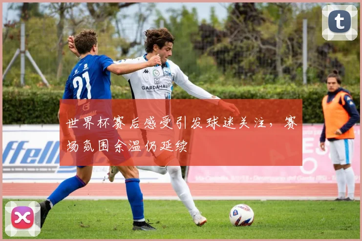 世界杯赛后感受引发球迷关注，赛场氛围余温仍延续