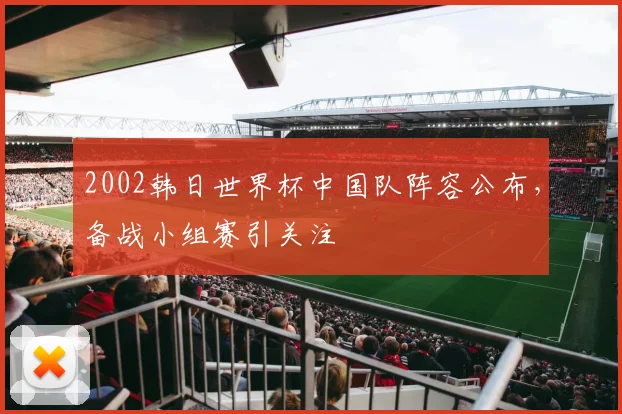 2002韩日世界杯中国队阵容公布,备战小组赛引关注
