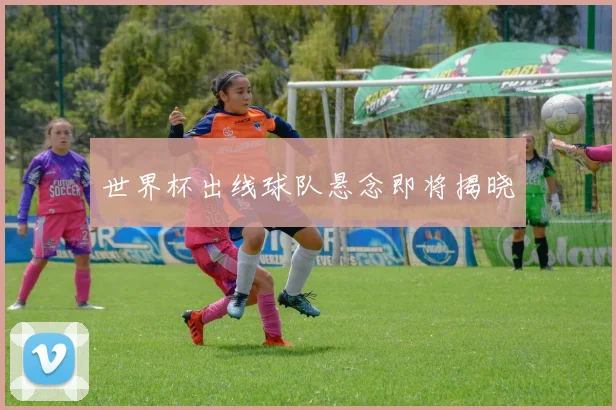 世界杯出线球队悬念即将揭晓