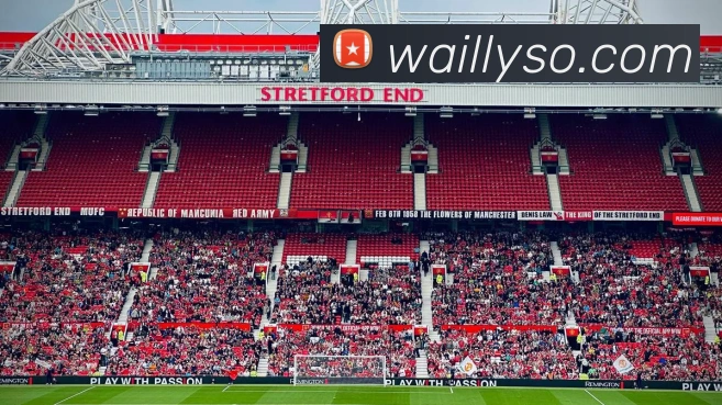 体育直播服务